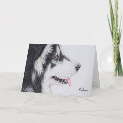 Alaskan Malamute Team Running Through Snow Card Zazzle Com