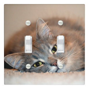 Long Haired Blue Russian Cat by Shirley Taylor Light Switch Cover
