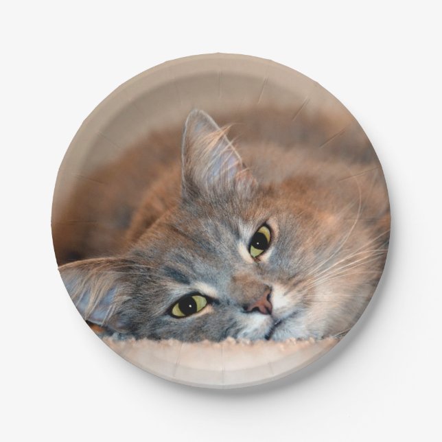 Long Haired Blue Russian Cat by Shirley Taylor Paper Plates (Front)