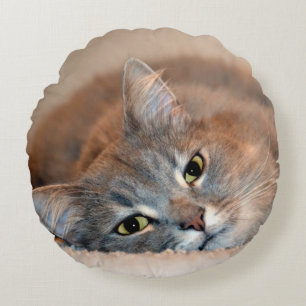 Long Haired Blue Russian Cat by Shirley Taylor Round Pillow