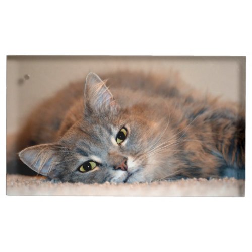 Long Haired Blue Russian Cat by Shirley Taylor Table Card Holder