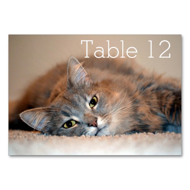 Long Haired Blue Russian Cat by Shirley Taylor Table Number (Front)