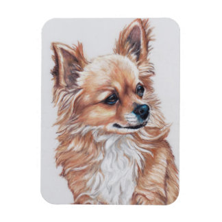 Long Haired Chihuahua Dog Art Magnet