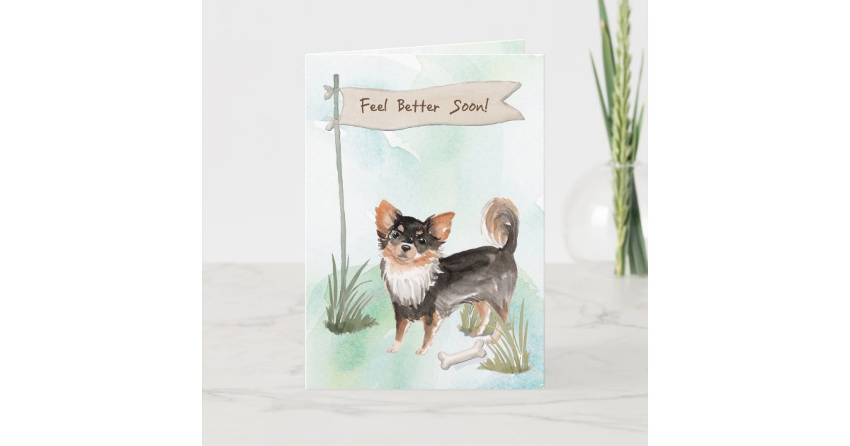 Long Haired Chihuahua Feel Better Surgery To Dog Card Zazzle Long Haired Chihuahua Feel Better