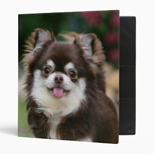 Long Haired Chihuahua Headshot 1 3 Ring Binder