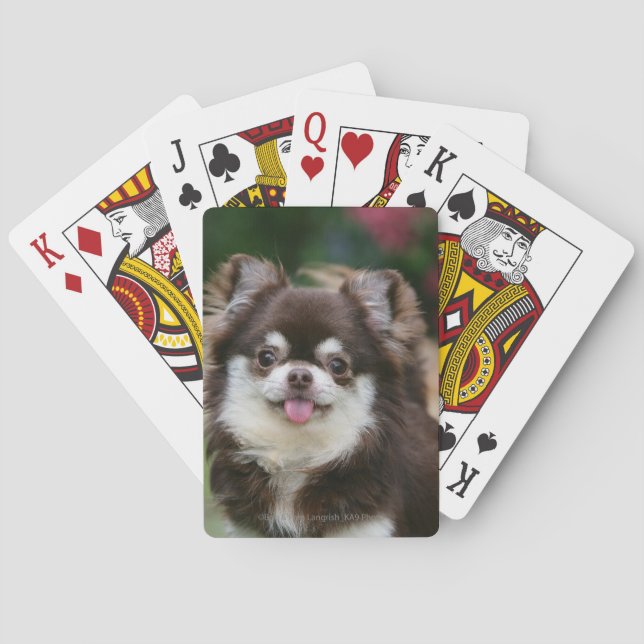 Long Haired Chihuahua Headshot 1 Poker Cards (Back)
