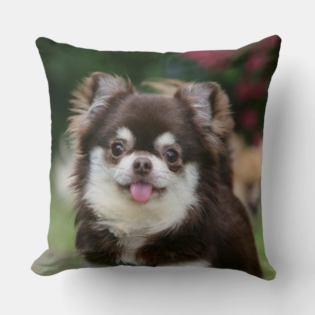Long Haired Chihuahua Headshot 1 Throw Pillow (Front)