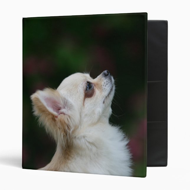 Long Haired Chihuahua Headshot 2 Binder (Front/Inside)
