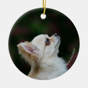 Long Haired Chihuahua Headshot 2 Ceramic Ornament
