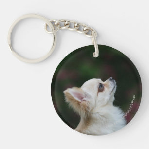 Long Haired Chihuahua Headshot 2 Keychain