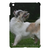 Long Haired Chihuahua Looking at Camera iPad Mini Case