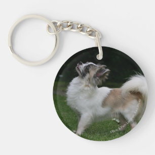 Long Haired Chihuahua Looking at Camera Keychain
