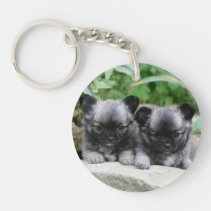 Long Haired Chihuahua Puppies Keychain
