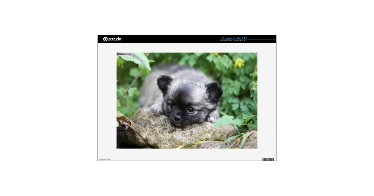 Long Haired Chihuahua Puppy 15 Laptop Decals Zazzle Com