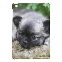 Long Haired Chihuahua Puppy iPad Mini Cover