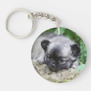 Long Haired Chihuahua Puppy Keychain
