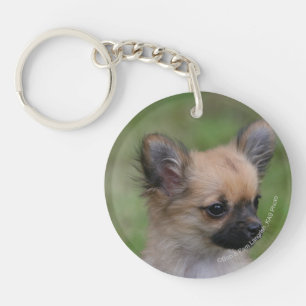 Long Haired Chihuahua Puppy Looking at Camera Keychain