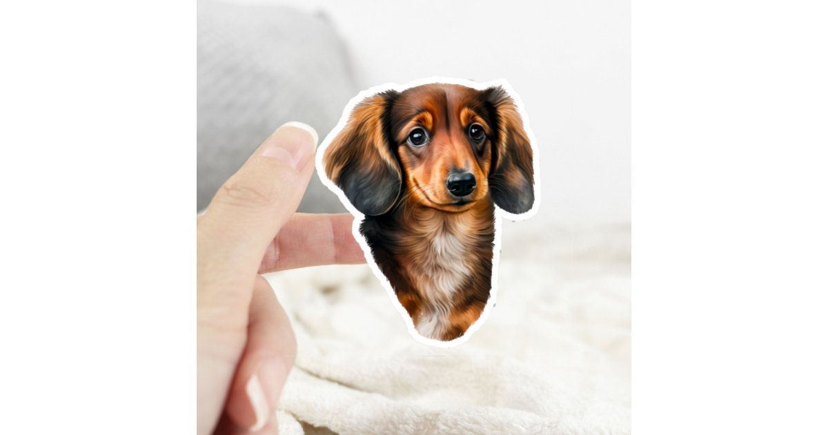 Dachshund Puppy Mug (Black & Brown), Zazzle in 2023