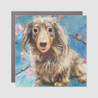 Long-haired Dachshund in Cherry Blossoms Magnet