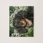 Long Haired Dachshund Jigsaw Puzzle at Zazzle