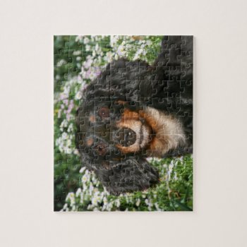 Long Haired Dachshund Jigsaw Puzzle by deemac1 at Zazzle