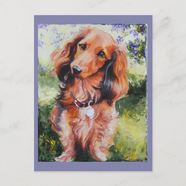 Long Haired Dachshund note card (Front)