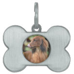 Long Haired Dachshund Pet ID Tag