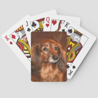 Long haired dachshund poker cards