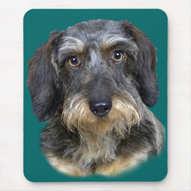 Long Haired Dachshund Portrait Gifts Mouse Pad (Front)