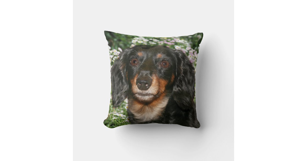 Long haired dachshund throw pillow