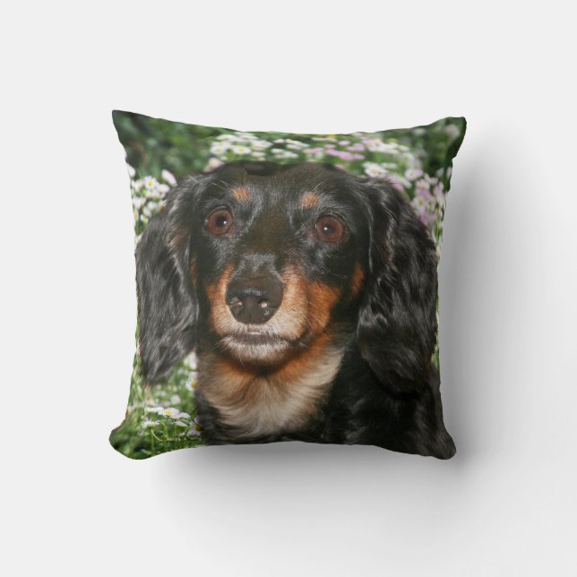 Long haired dachshund throw pillow (Front)