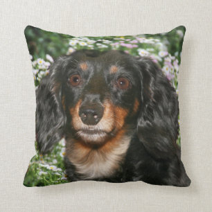 Long haired dachshund throw pillow