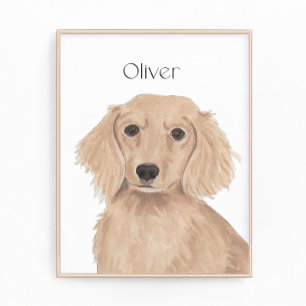 Long Haired English Red Dachshund Art Photo Print