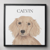 Long Haired English Red Dachshund Portrait