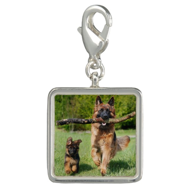 Long Haired Fluffy German Shepherd Dog and Puppy Charm (Front)