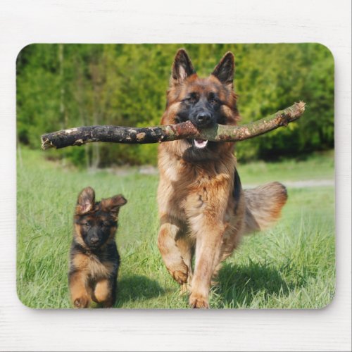Long Haired Fluffy German Shepherd Dog and Puppy Mouse Pad