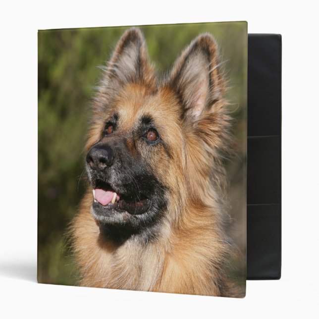 Long Haired German Shepherd 1 3 Ring Binder (Front/Inside)