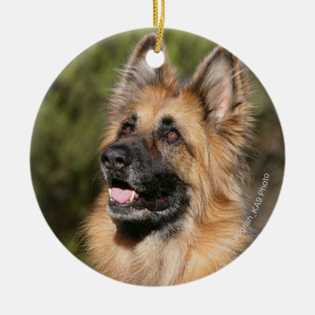 Long Haired German Shepherd 1 Ceramic Ornament (Front)