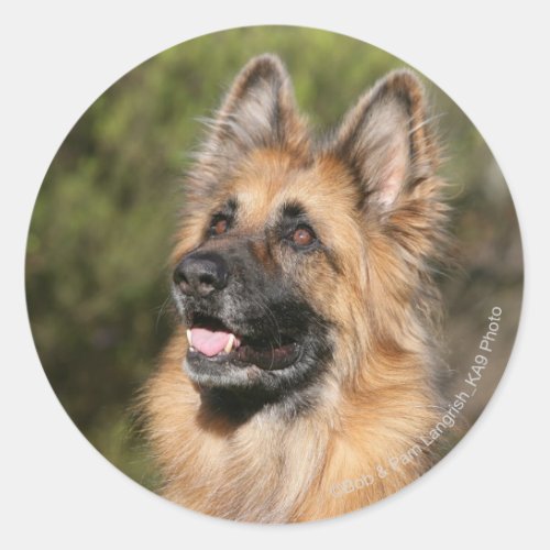 Long Haired German Shepherd 1 Classic Round Sticker