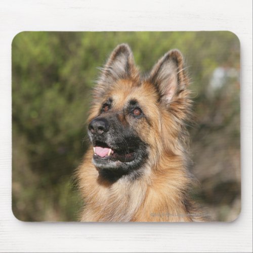 Long Haired German Shepherd 1 Mouse Pad