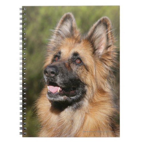 Long Haired German Shepherd 1 Notebook