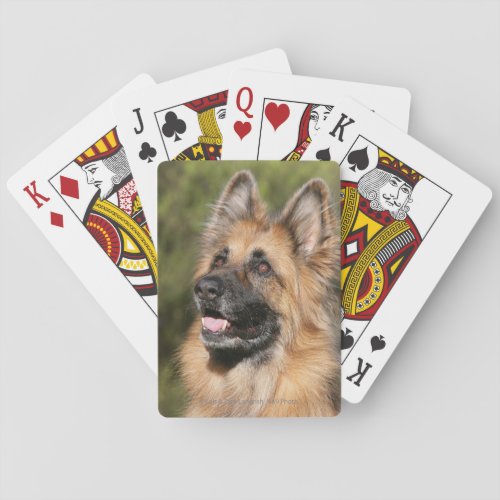 Long Haired German Shepherd 1 Playing Cards
