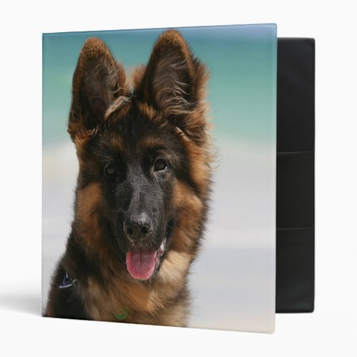 Long Haired German Shepherd Beach 3 Ring Binder