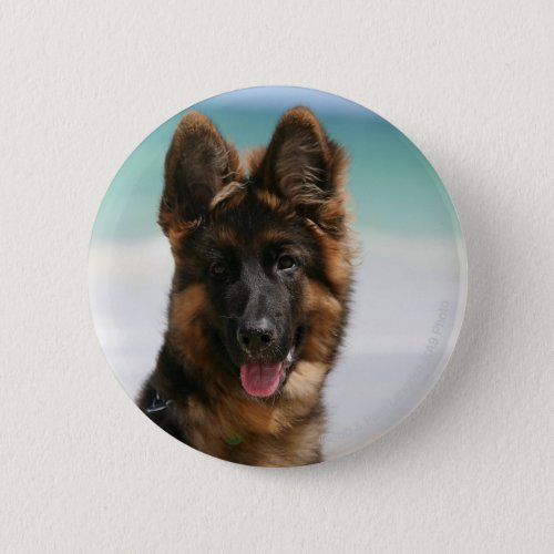 Long Haired German Shepherd Beach Button