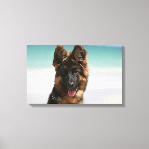 Long Haired German Shepherd Beach Canvas Print