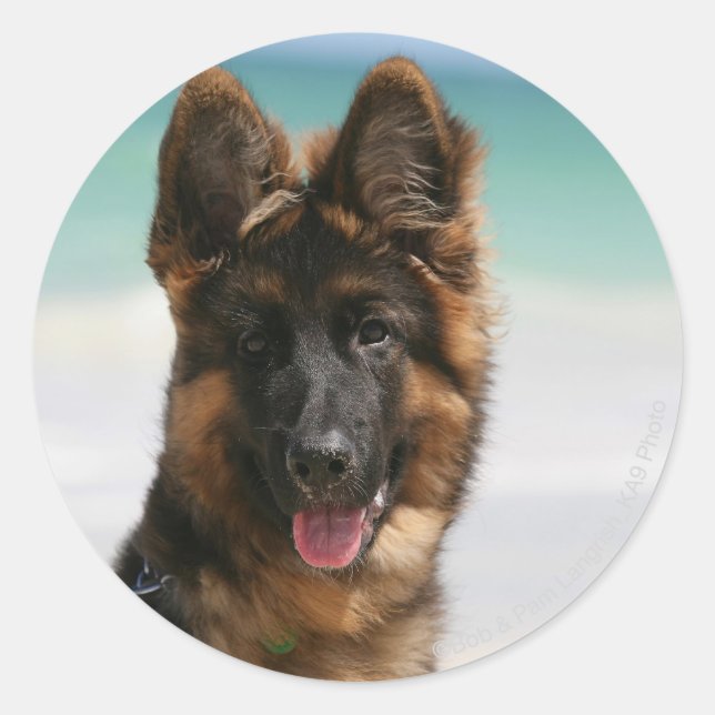 Long Haired German Shepherd Beach Classic Round Sticker (Front)