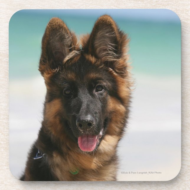 Long Haired German Shepherd Beach Coaster (Front)