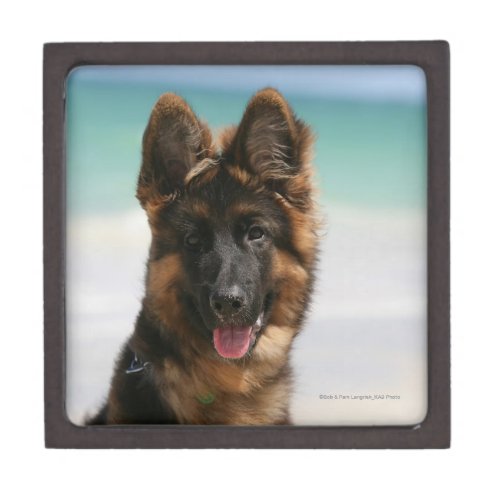 Long Haired German Shepherd Beach Gift Box