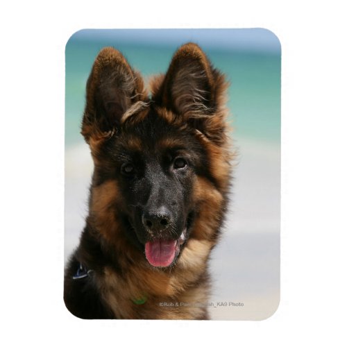 Long Haired German Shepherd Beach Magnet