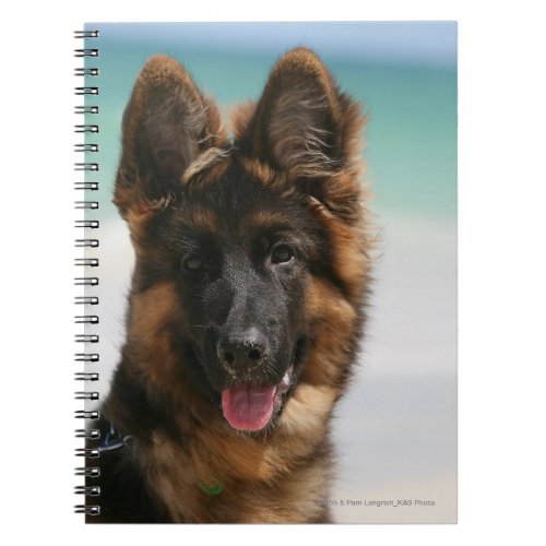 Long Haired German Shepherd Beach Notebook